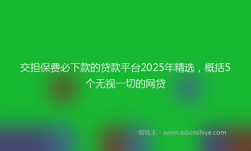 交担保费必下款的贷款平台2025年精选，概括5个无视一切的网贷