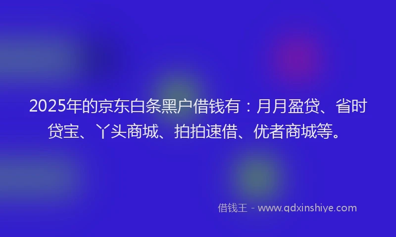 2025年的京东白条黑户借钱有：月月盈贷、省时贷宝、丫头商城、拍拍速借、优者商城等。