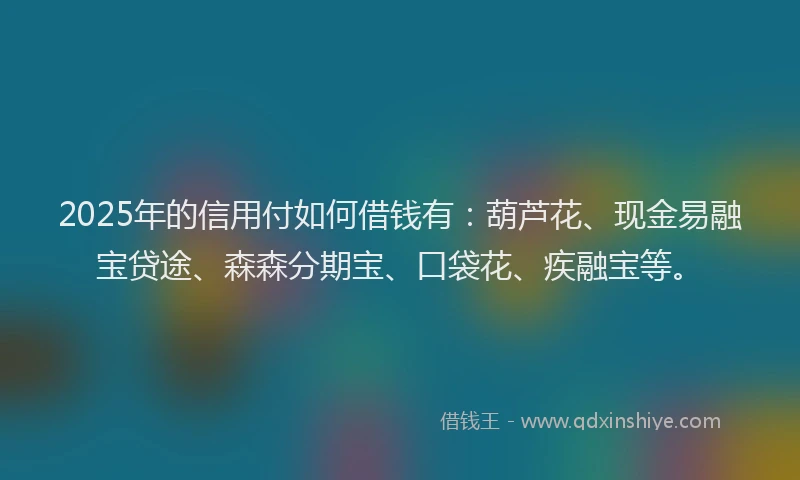 2025年的信用付如何借钱有：葫芦花、现金易融宝贷途、森森分期宝、口袋花、疾融宝等。