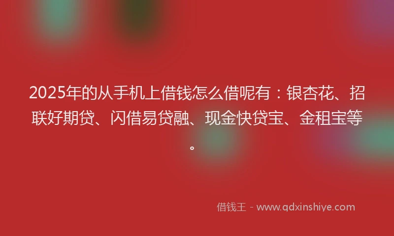 2025年的从手机上借钱怎么借呢有：银杏花、招联好期贷、闪借易贷融、现金快贷宝、金租宝等。
