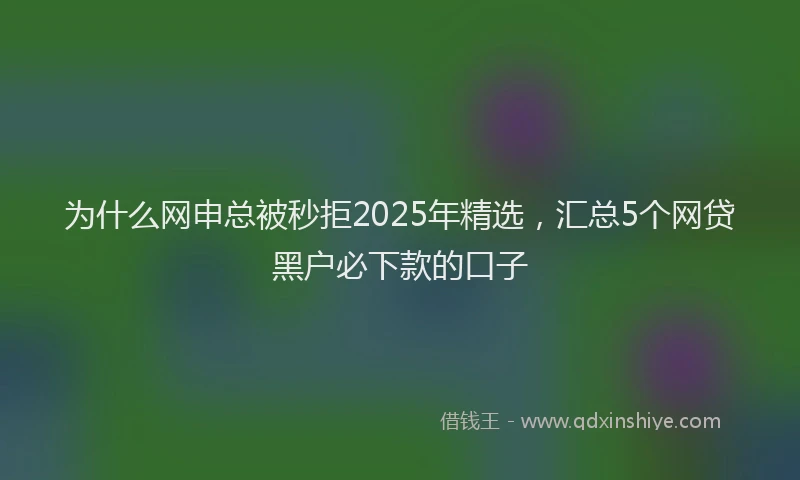 为什么网申总被秒拒2025年精选，汇总5个网贷黑户必下款的口子