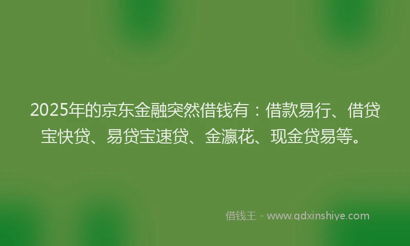 2025年的京东金融突然借钱有：借款易行、借贷宝快贷、易贷宝速贷、金瀛花、现金贷易等。