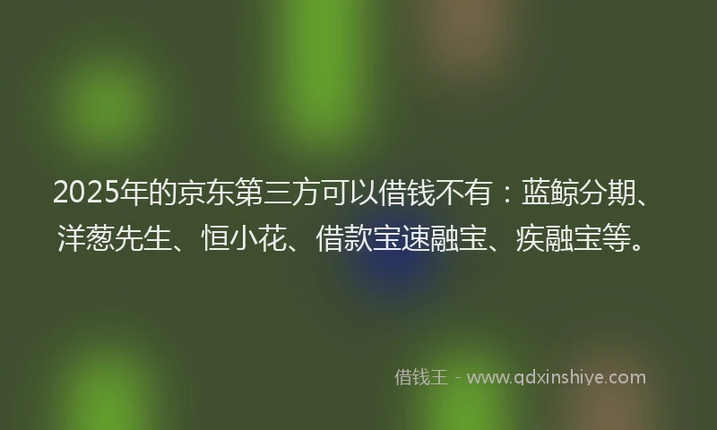 2025年的京东第三方可以借钱不有：蓝鲸分期、洋葱先生、恒小花、借款宝速融宝、疾融宝等。