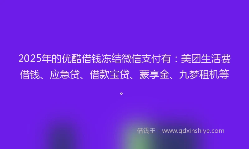 2025年的优酷借钱冻结微信支付有：美团生活费借钱、应急贷、借款宝贷、蒙享金、九梦租机等。