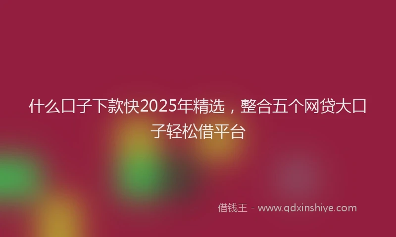 什么口子下款快2025年精选，整合五个网贷大口子轻松借平台