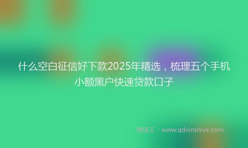 什么空白征信好下款2025年精选，梳理五个手机小额黑户快速贷款口子