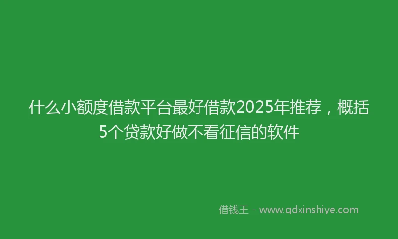 什么小额度借款平台最好借款2025年推荐,概括5个贷款好做不看征信的软件