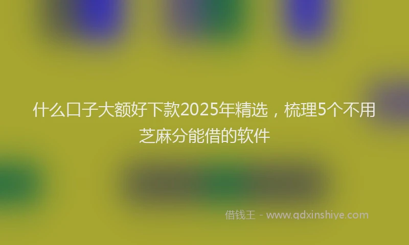 什么口子大额好下款2025年精选，梳理5个不用芝麻分能借的软件