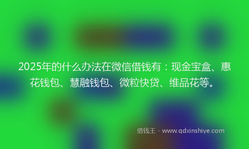 2025年的什么办法在微信借钱有：现金宝盒、惠花钱包、慧融钱包、微粒快贷、维品花等。