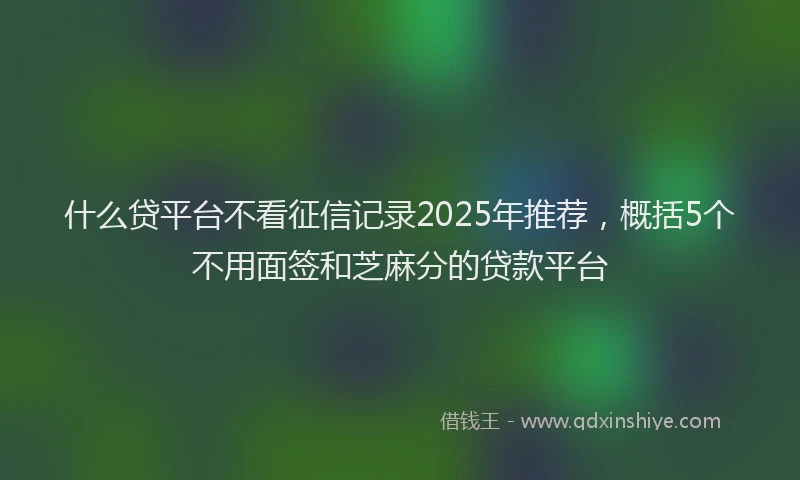什么贷平台不看征信记录2025年推荐，概括5个不用面签和芝麻分的贷款平台