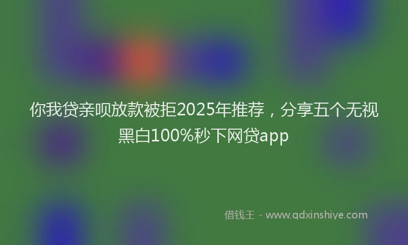 你我贷亲呗放款被拒2025年推荐，分享五个无视黑白100%秒下网贷app