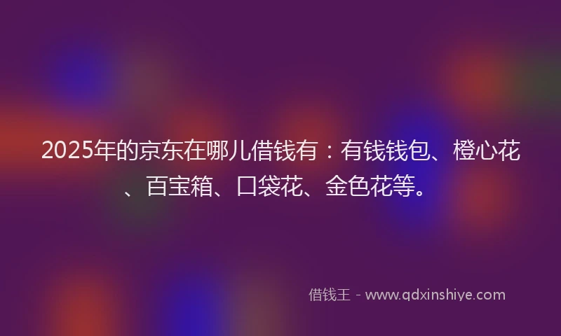 2025年的京东在哪儿借钱有：有钱钱包、橙心花、百宝箱、口袋花、金色花等。