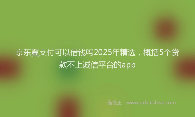 京东翼支付可以借钱吗2025年精选，概括5个贷款不上诚信平台的app
