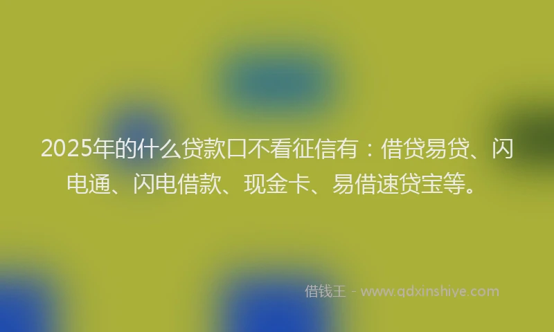 2025年的什么贷款口不看征信有：借贷易贷、闪电通、闪电借款、现金卡、易借速贷宝等。