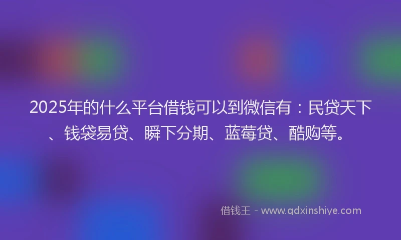 2025年的什么平台借钱可以到微信有：民贷天下、钱袋易贷、瞬下分期、蓝莓贷、酷购等。