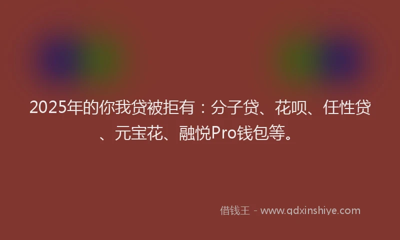 2025年的你我贷被拒有：分子贷、花呗、任性贷、元宝花、融悦Pro钱包等。