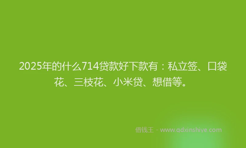 2025年的什么714贷款好下款有：私立签、口袋花、三枝花、小米贷、想借等。