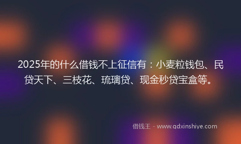 2025年的什么借钱不上征信有：小麦粒钱包、民贷天下、三枝花、琉璃贷、现金秒贷宝盒等。