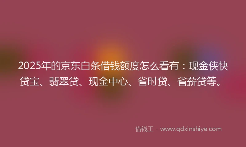 2025年的京东白条借钱额度怎么看有：现金侠快贷宝、翡翠贷、现金中心、省时贷、省薪贷等。