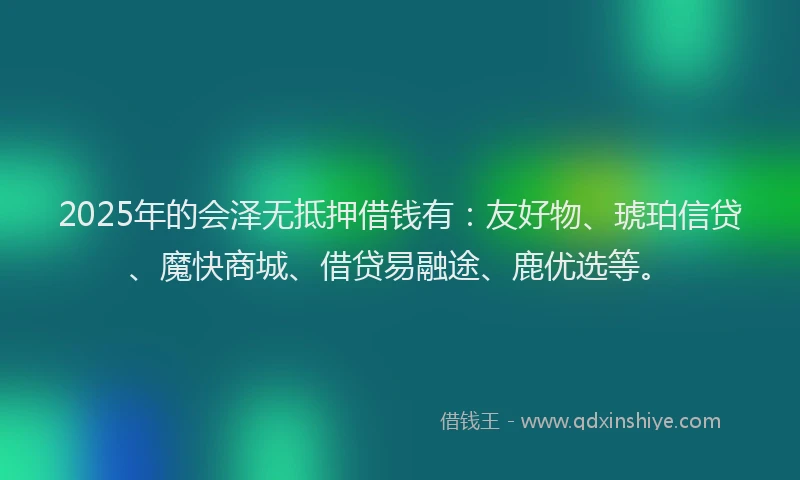 2025年的会泽无抵押借钱有：友好物、琥珀信贷、魔快商城、借贷易融途、鹿优选等。