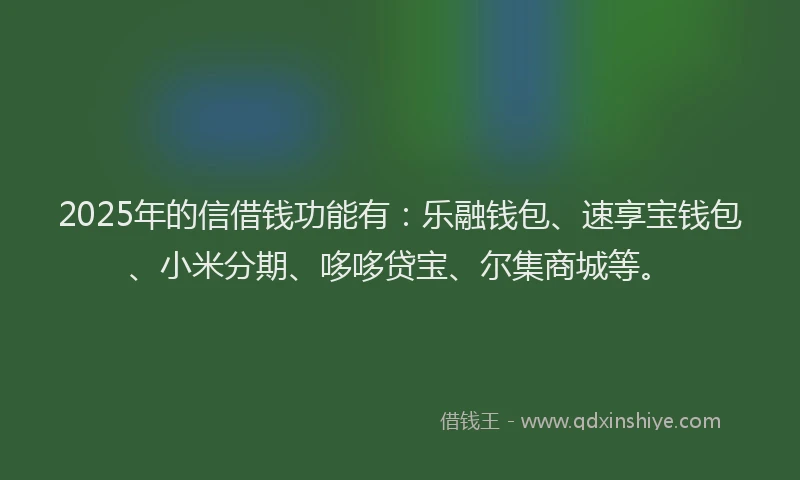 2025年的信借钱功能有：乐融钱包、速享宝钱包、小米分期、哆哆贷宝、尔集商城等。