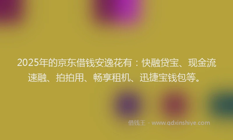 2025年的京东借钱安逸花有：快融贷宝、现金流速融、拍拍用、畅享租机、迅捷宝钱包等。
