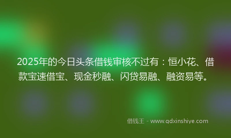 2025年的今日头条借钱审核不过有：恒小花、借款宝速借宝、现金秒融、闪贷易融、融资易等。