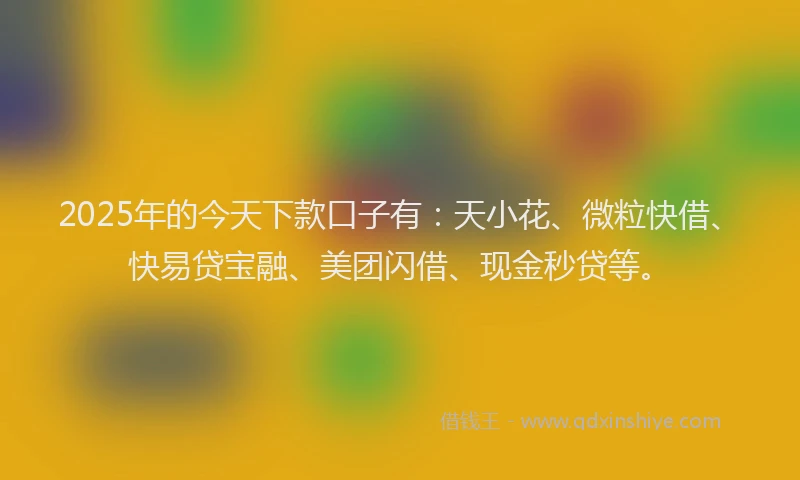2025年的今天下款口子有：天小花、微粒快借、快易贷宝融、美团闪借、现金秒贷等。