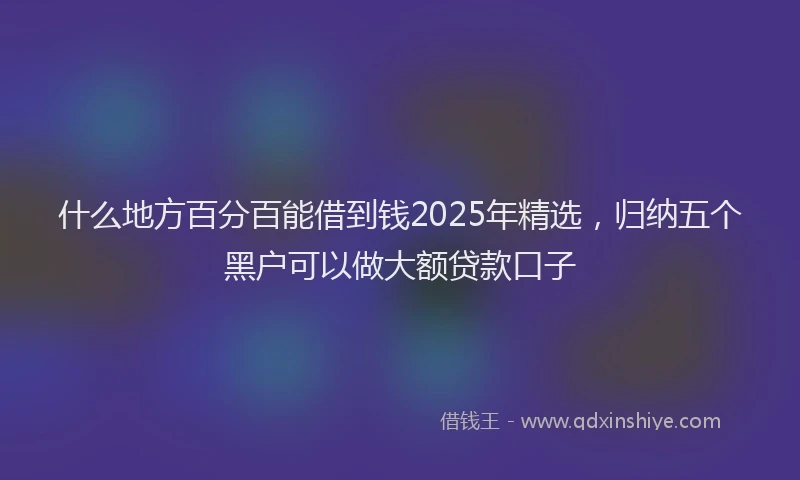 什么地方百分百能借到钱2025年精选，归纳五个黑户可以做大额贷款口子