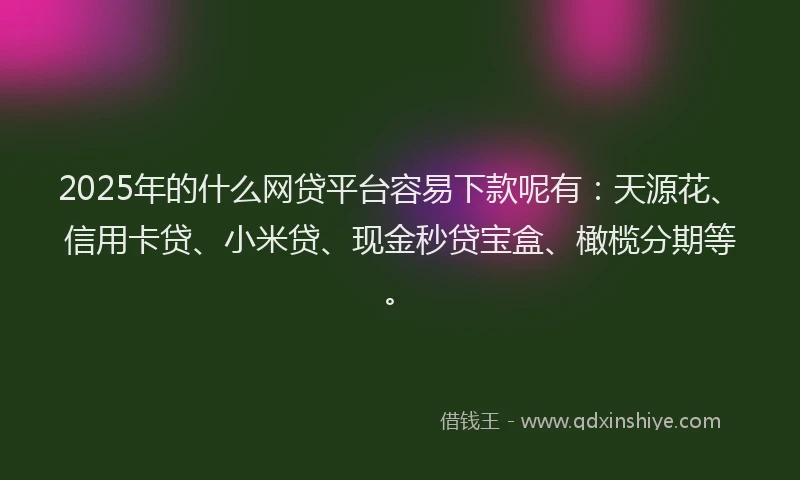 2025年的什么网贷平台容易下款呢有：天源花、信用卡贷、小米贷、现金秒贷宝盒、橄榄分期等。