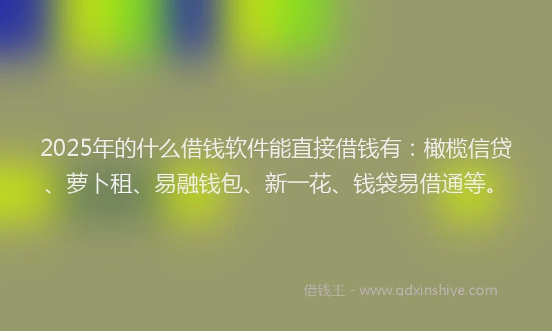 2025年的什么借钱软件能直接借钱有:橄榄信贷、萝卜租、易融钱包、新一花、钱袋易借通等。