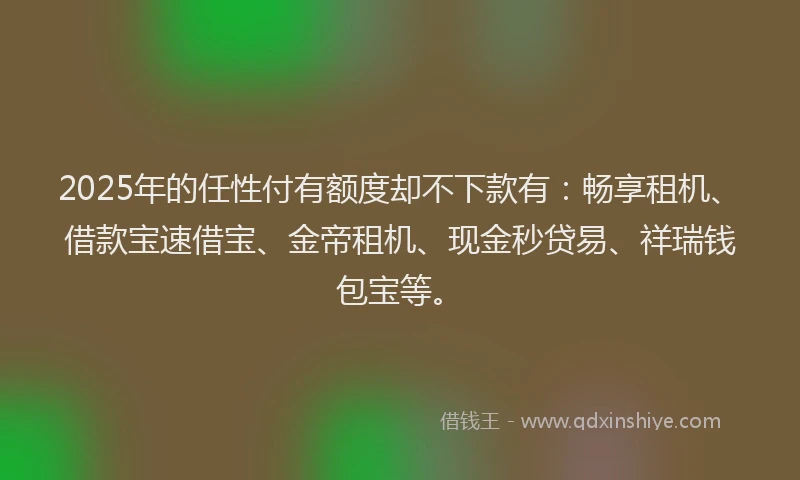 2025年的任性付有额度却不下款有：畅享租机、借款宝速借宝、金帝租机、现金秒贷易、祥瑞钱包宝等。
