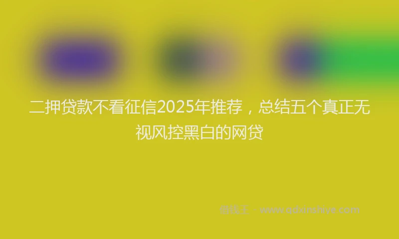 二押贷款不看征信2025年推荐，总结五个真正无视风控黑白的网贷