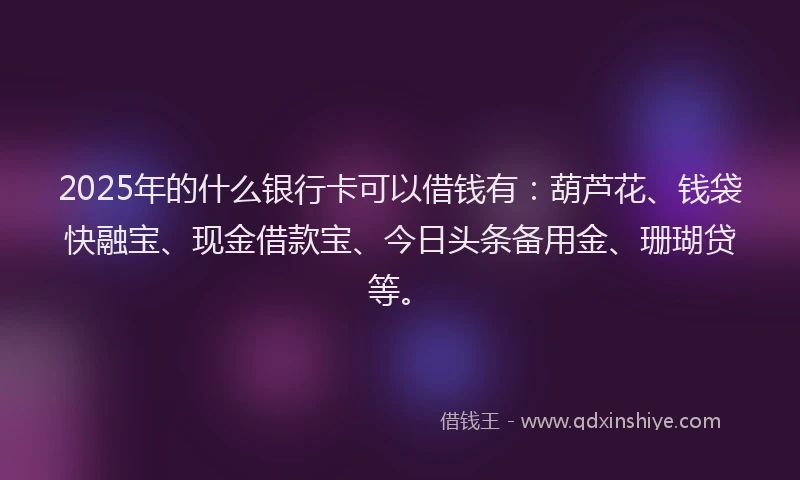 2025年的什么银行卡可以借钱有：葫芦花、钱袋快融宝、现金借款宝、今日头条备用金、珊瑚贷等。