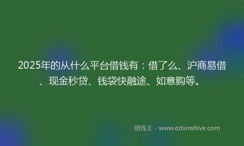 2025年的从什么平台借钱有:借了么、沪商易借、现金秒贷、钱袋快融途、如意购等。