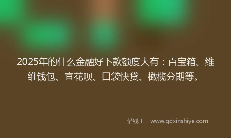 2025年的什么金融好下款额度大有：百宝箱、维维钱包、宜花呗、口袋快贷、橄榄分期等。