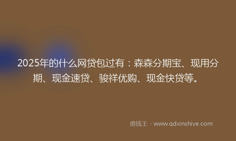 2025年的什么网贷包过有：森森分期宝、现用分期、现金速贷、骏祥优购、现金快贷等。