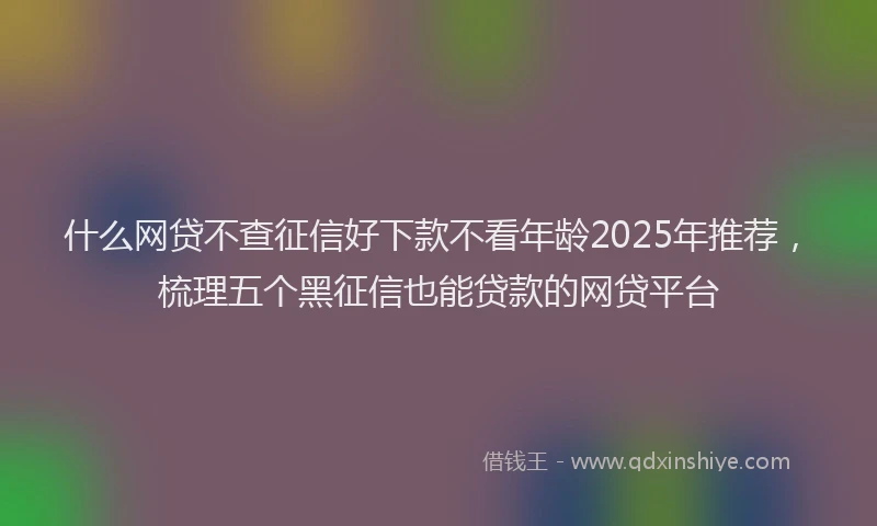 什么网贷不查征信好下款不看年龄2025年推荐，梳理五个黑征信也能贷款的网贷平台