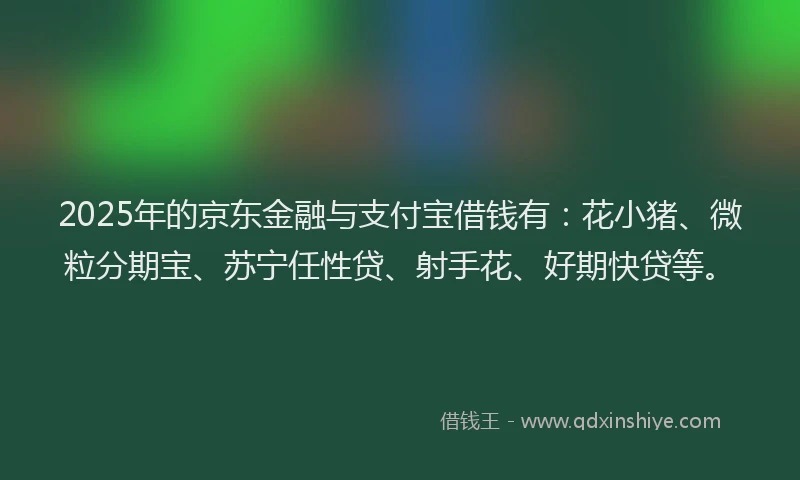 2025年的京东金融与支付宝借钱有：花小猪、微粒分期宝、苏宁任性贷、射手花、好期快贷等。