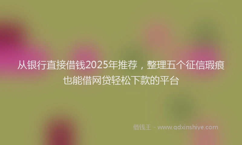 从银行直接借钱2025年推荐，整理五个征信瑕疵也能借网贷轻松下款的平台