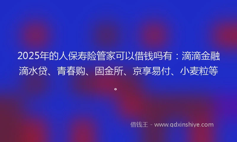 2025年的人保寿险管家可以借钱吗有：滴滴金融滴水贷、青春购、固金所、京享易付、小麦粒等。