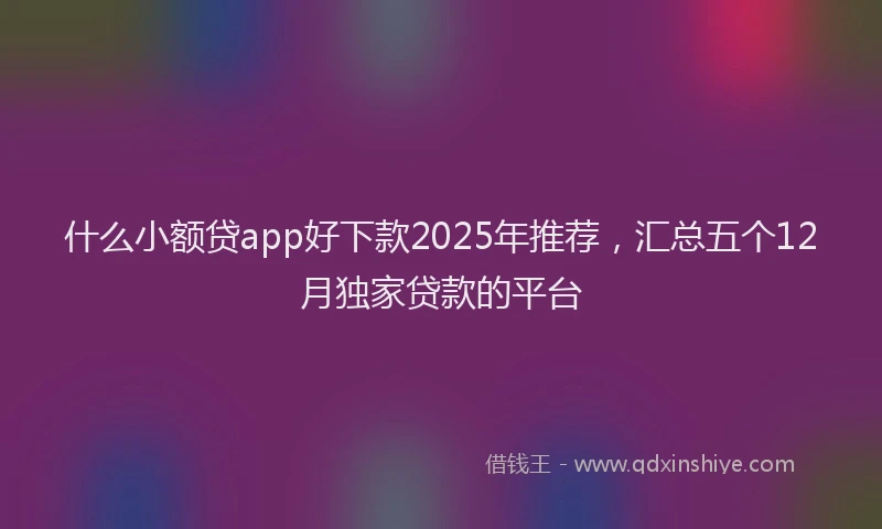 什么小额贷app好下款2025年推荐,汇总五个12月独家贷款的平台