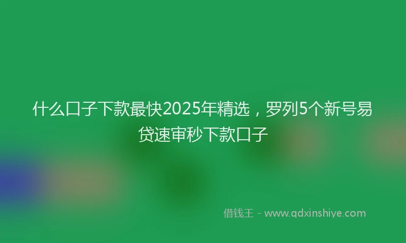 什么口子下款最快2025年精选,罗列5个新号易贷速审秒下款口子