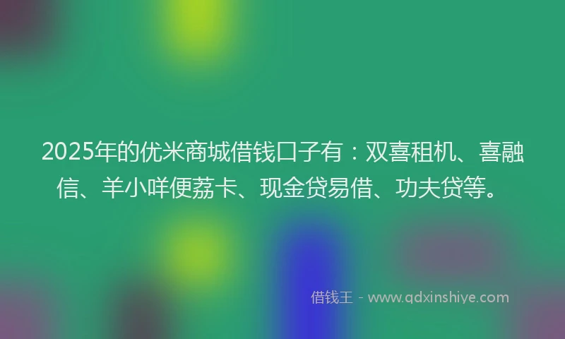 2025年的优米商城借钱口子有：双喜租机、喜融信、羊小咩便荔卡、现金贷易借、功夫贷等。