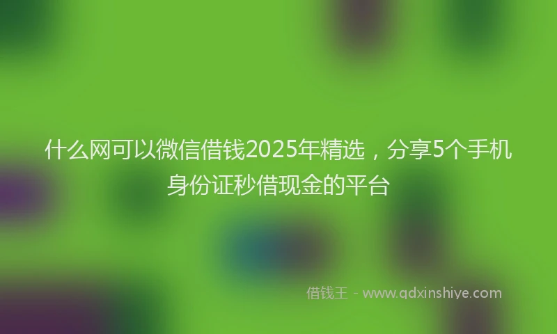 什么网可以微信借钱2025年精选，分享5个手机身份证秒借现金的平台
