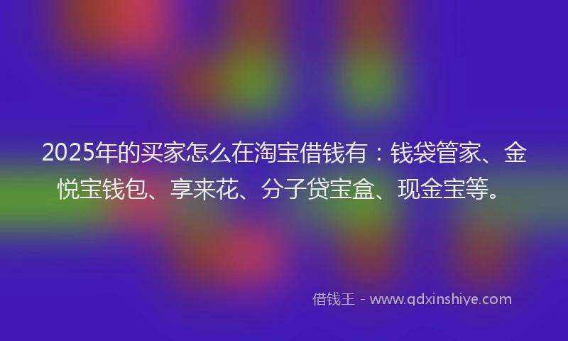 2025年的买家怎么在淘宝借钱有：钱袋管家、金悦宝钱包、享来花、分子贷宝盒、现金宝等。