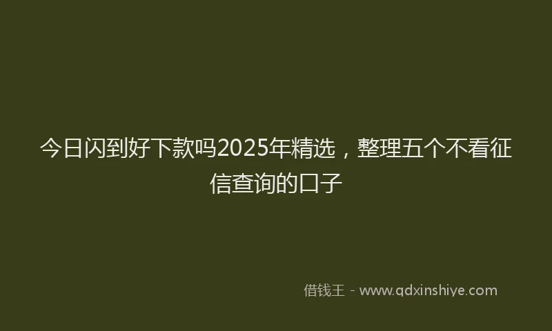 今日闪到好下款吗2025年精选，整理五个不看征信查询的口子