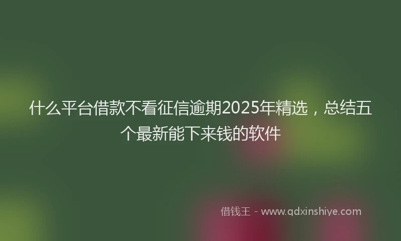 什么平台借款不看征信逾期2025年精选,总结五个最新能下来钱的软件
