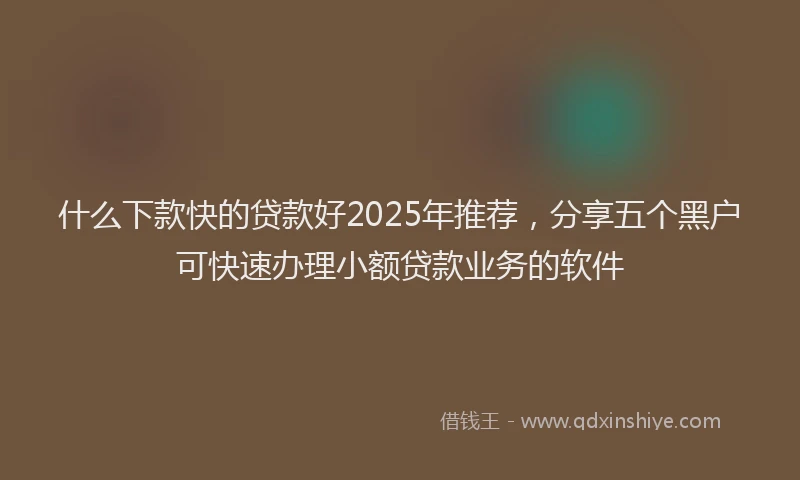什么下款快的贷款好2025年推荐，分享五个黑户可快速办理小额贷款业务的软件