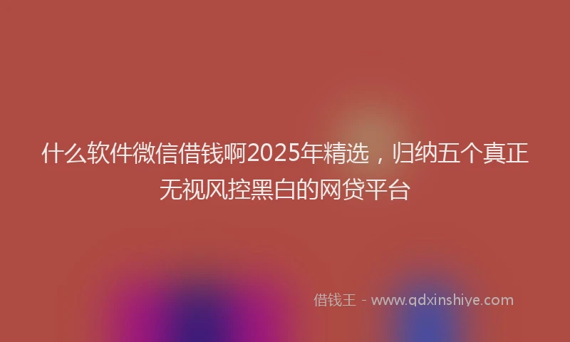 什么软件微信借钱啊2025年精选，归纳五个真正无视风控黑白的网贷平台